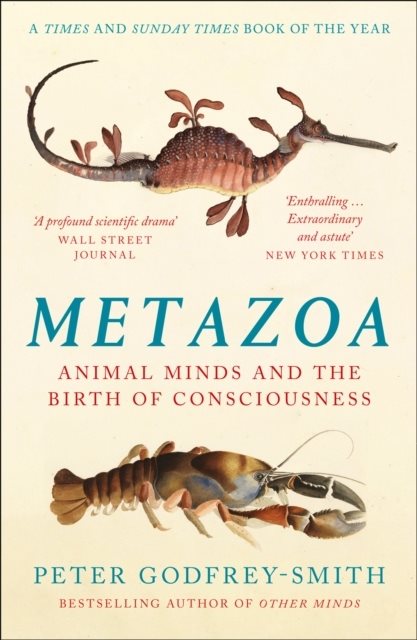 Metazoa