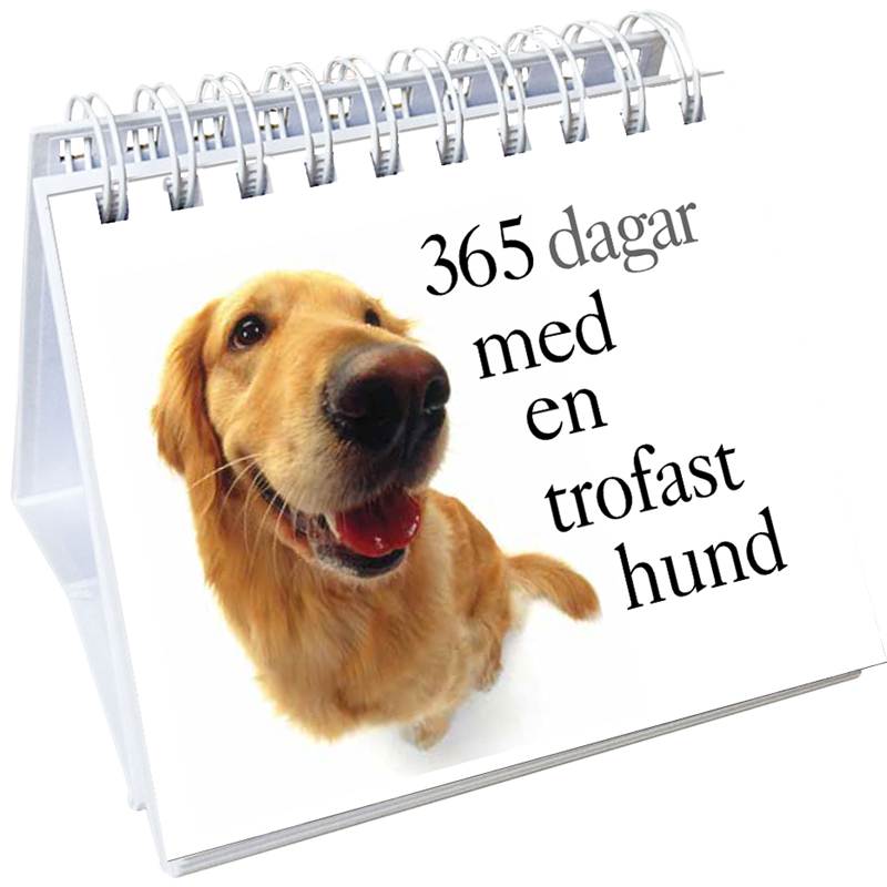 365 dagar med en trofast hund